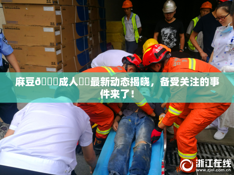 麻豆🔞成人❌‌最新动态揭晓，备受关注的事件来了！