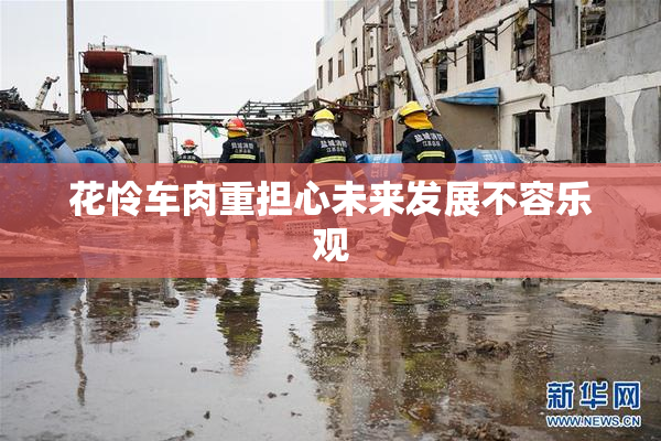 花怜车肉重担心未来发展不容乐观