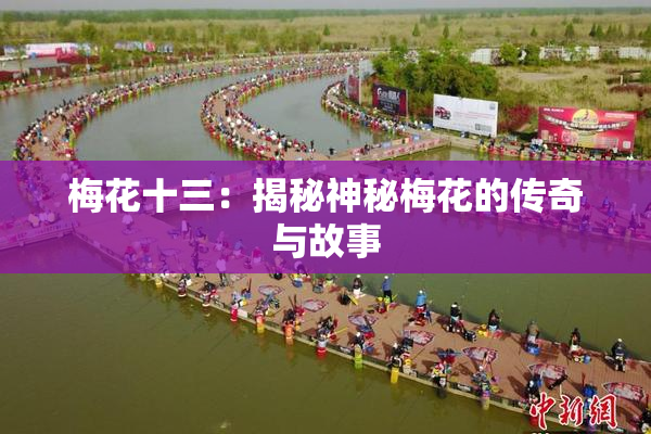 梅花十三：揭秘神秘梅花的传奇与故事