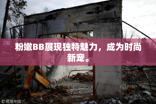 粉嫩BB展现独特魅力，成为时尚新宠。
