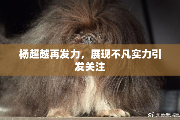 杨超越再发力，展现不凡实力引发关注