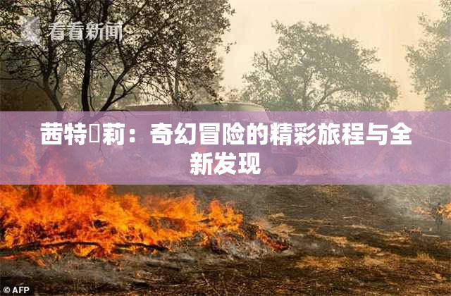 茜特菈莉：奇幻冒险的精彩旅程与全新发现