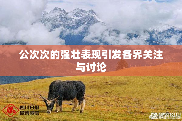 公次次的强壮表现引发各界关注与讨论