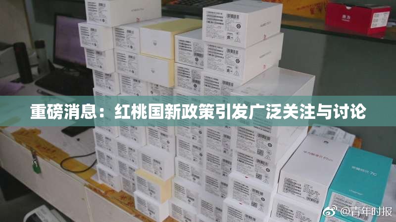 重磅消息：红桃国新政策引发广泛关注与讨论