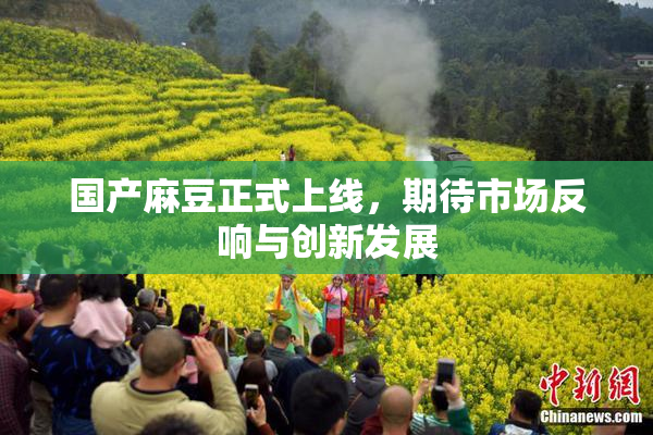 国产麻豆正式上线，期待市场反响与创新发展