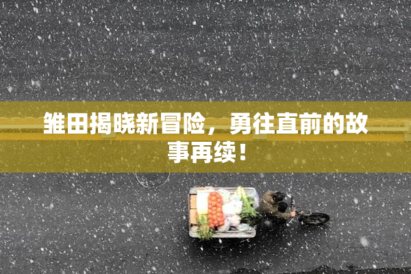 雏田揭晓新冒险，勇往直前的故事再续！