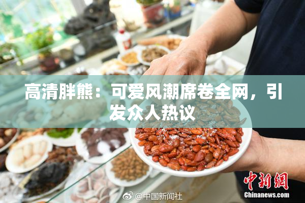 高清胖熊：可爱风潮席卷全网，引发众人热议