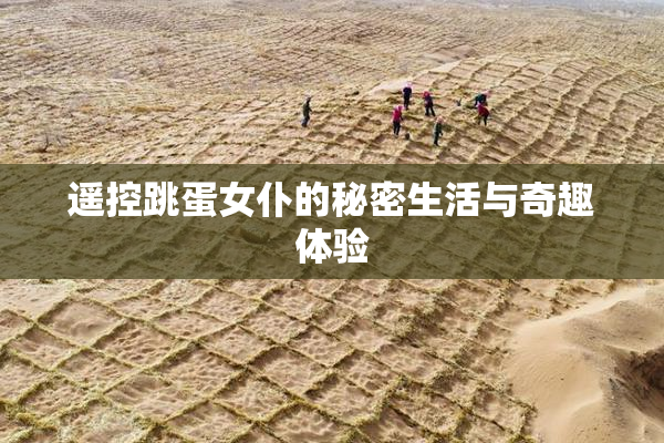 遥控跳蛋女仆的秘密生活与奇趣体验
