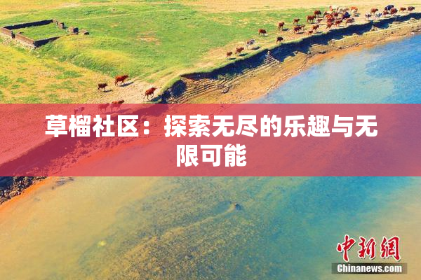 草榴社区：探索无尽的乐趣与无限可能