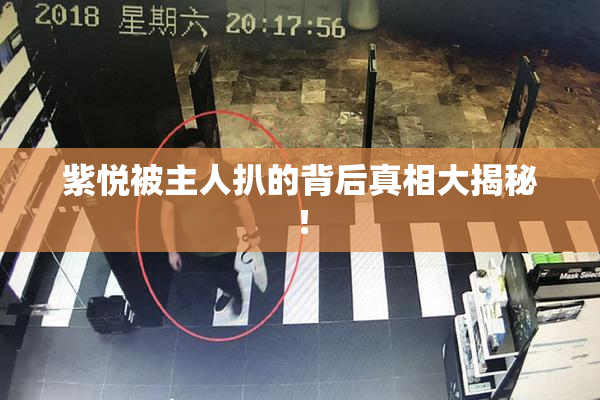 紫悦被主人扒的背后真相大揭秘！