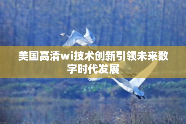 美国高清wi技术创新引领未来数字时代发展
