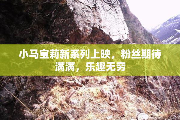 小马宝莉新系列上映，粉丝期待满满，乐趣无穷