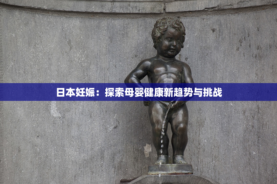 日本妊娠：探索母婴健康新趋势与挑战