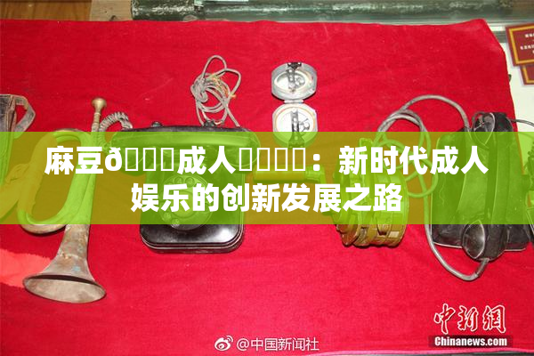 麻豆🔞成人❌‌❌‌：新时代成人娱乐的创新发展之路