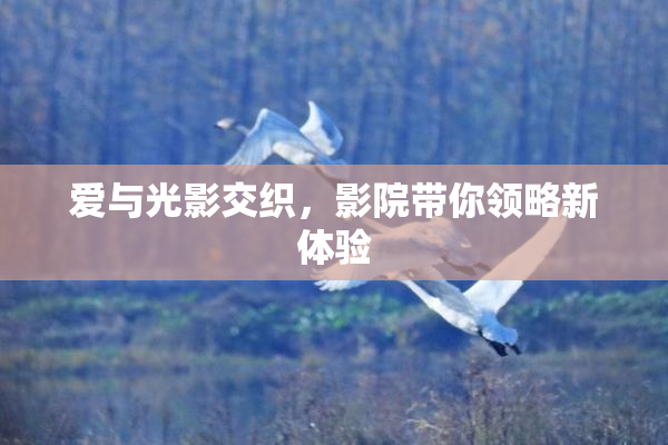 爱与光影交织，影院带你领略新体验