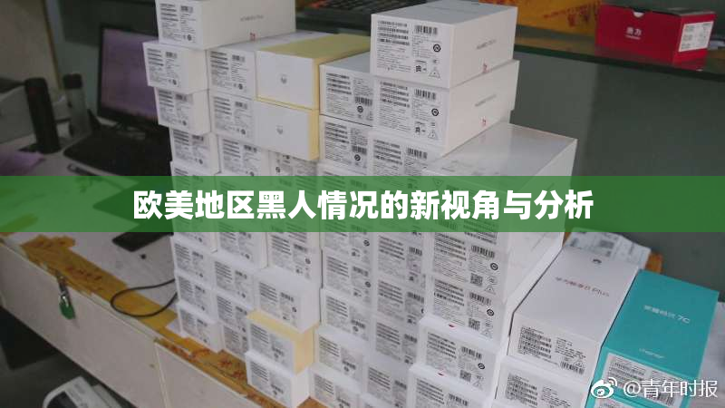 欧美地区黑人情况的新视角与分析