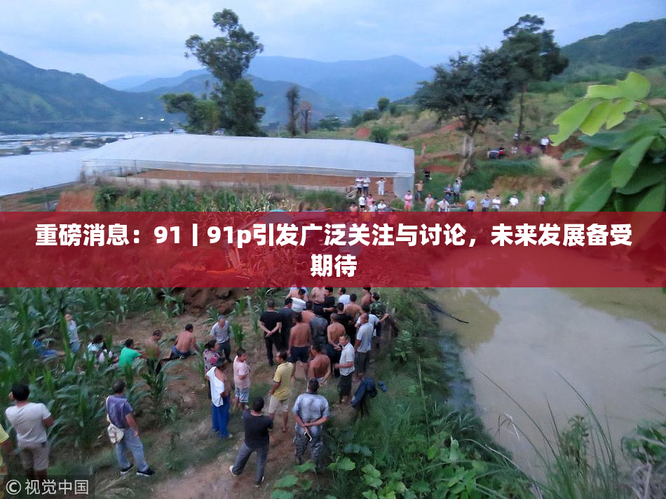 重磅消息：91丨91p引发广泛关注与讨论，未来发展备受期待