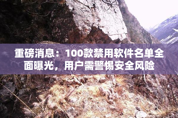 重磅消息：100款禁用软件名单全面曝光，用户需警惕安全风险