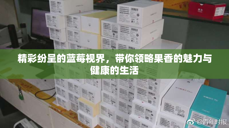 精彩纷呈的蓝莓视界，带你领略果香的魅力与健康的生活
