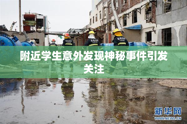 附近学生意外发现神秘事件引发关注