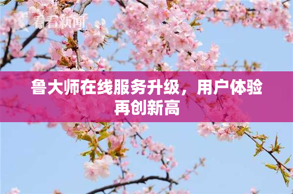 鲁大师在线服务升级，用户体验再创新高