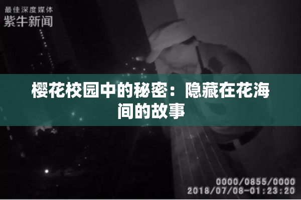 樱花校园中的秘密：隐藏在花海间的故事