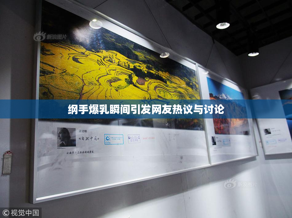 纲手爆乳瞬间引发网友热议与讨论