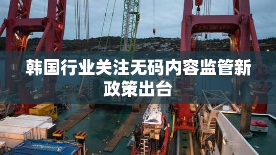 韩国行业关注无码内容监管新政策出台