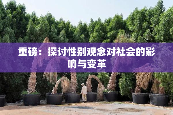 重磅：探讨性别观念对社会的影响与变革