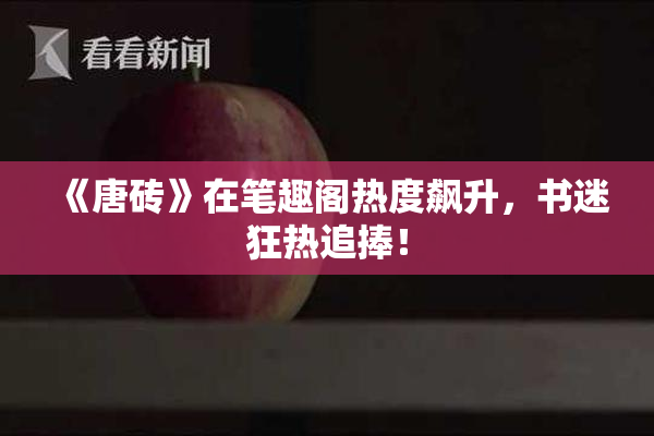 《唐砖》在笔趣阁热度飙升，书迷狂热追捧！