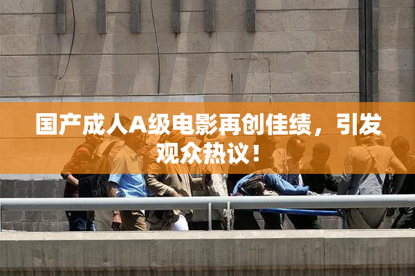 国产成人A级电影再创佳绩，引发观众热议！