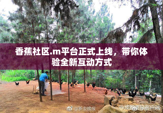 香蕉社区.m平台正式上线，带你体验全新互动方式
