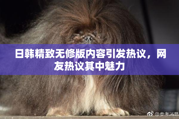 日韩精致无修版内容引发热议，网友热议其中魅力