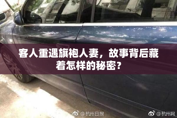 客人重遇旗袍人妻，故事背后藏着怎样的秘密？