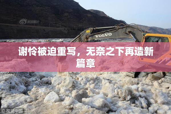 谢怜被迫重写，无奈之下再造新篇章