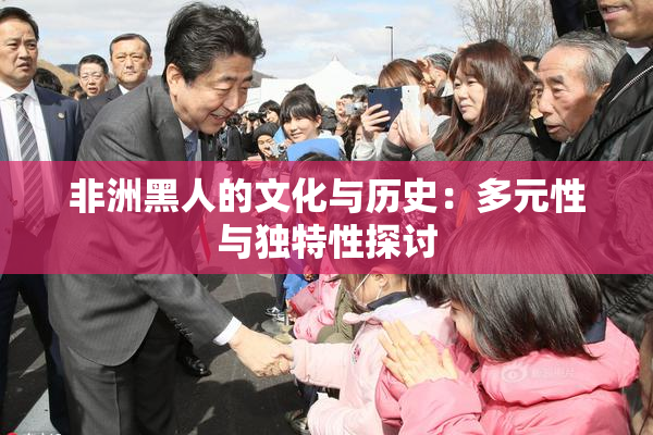 非洲黑人的文化与历史：多元性与独特性探讨
