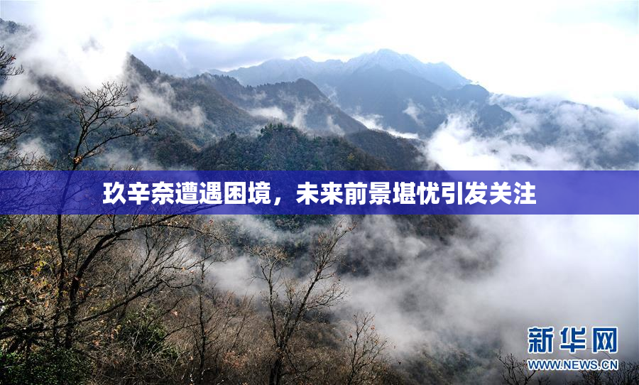 玖辛奈遭遇困境，未来前景堪忧引发关注