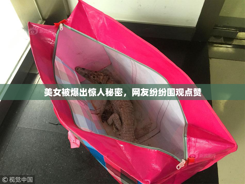 美女被爆出惊人秘密，网友纷纷围观点赞