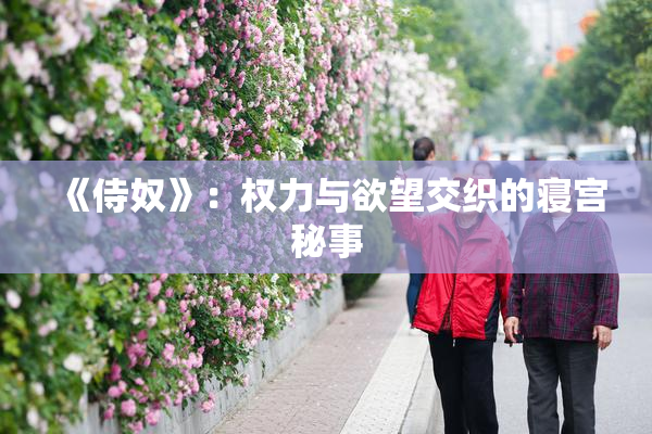 《侍奴》：权力与欲望交织的寝宫秘事