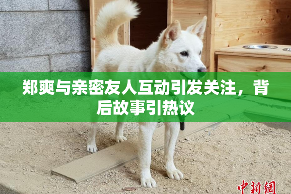 郑爽与亲密友人互动引发关注，背后故事引热议