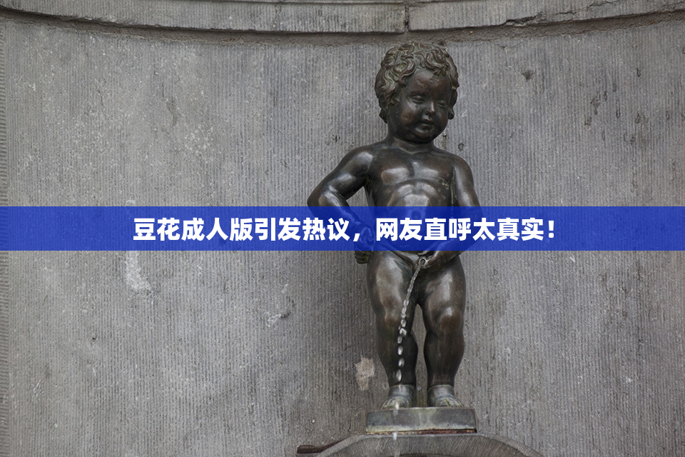 豆花成人版引发热议，网友直呼太真实！
