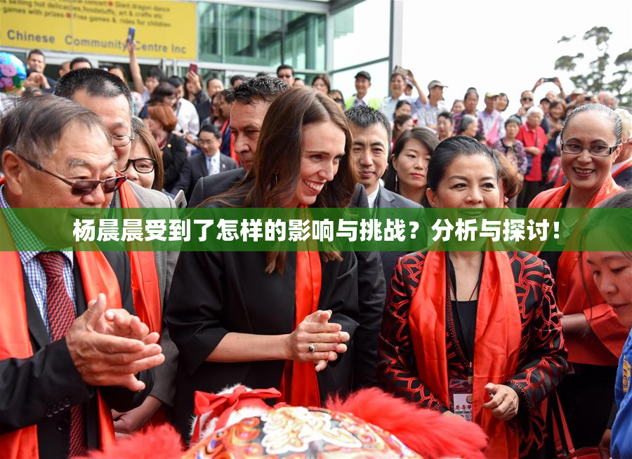 杨晨晨受到了怎样的影响与挑战？分析与探讨！