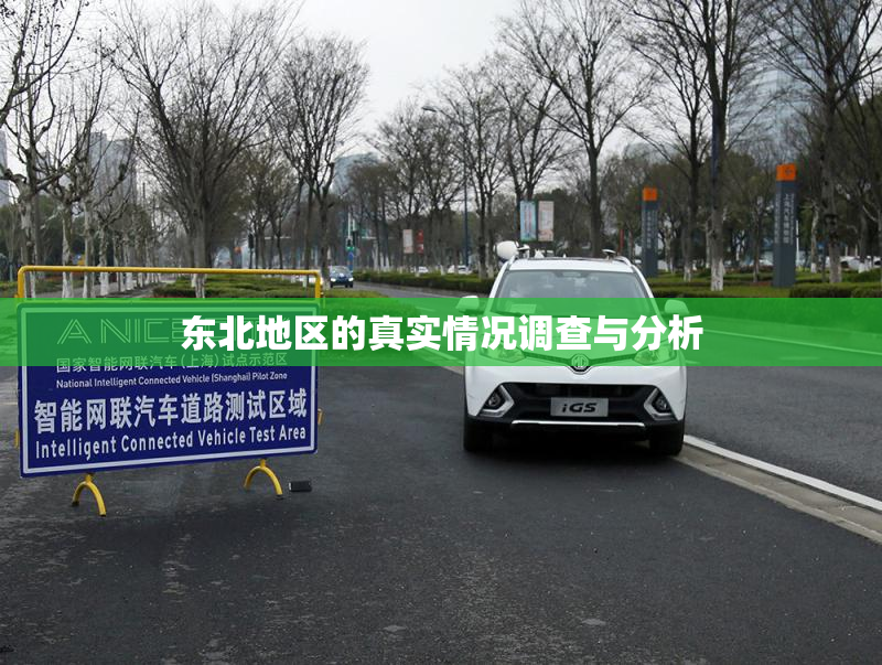 东北地区的真实情况调查与分析