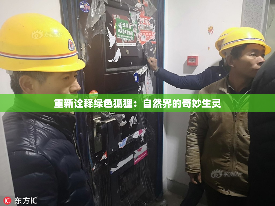 重新诠释绿色狐狸：自然界的奇妙生灵