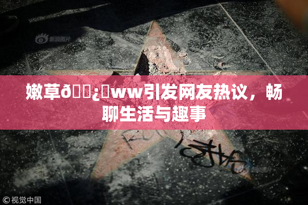 嫩草🌿‌ww引发网友热议，畅聊生活与趣事