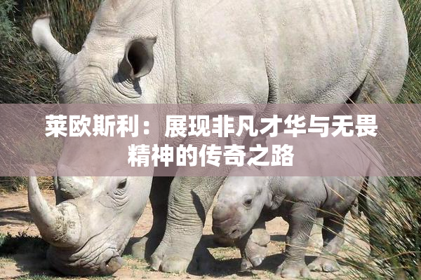 莱欧斯利：展现非凡才华与无畏精神的传奇之路