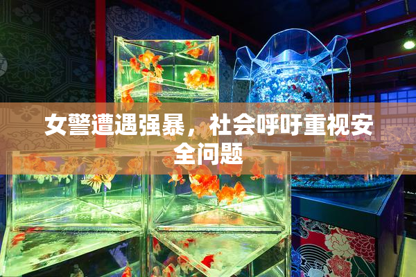 女警遭遇强暴，社会呼吁重视安全问题