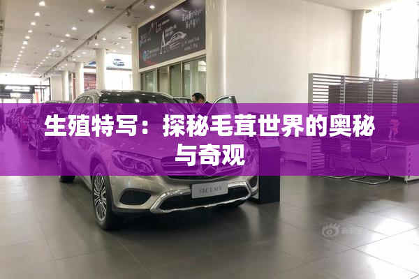 生殖特写：探秘毛茸世界的奥秘与奇观