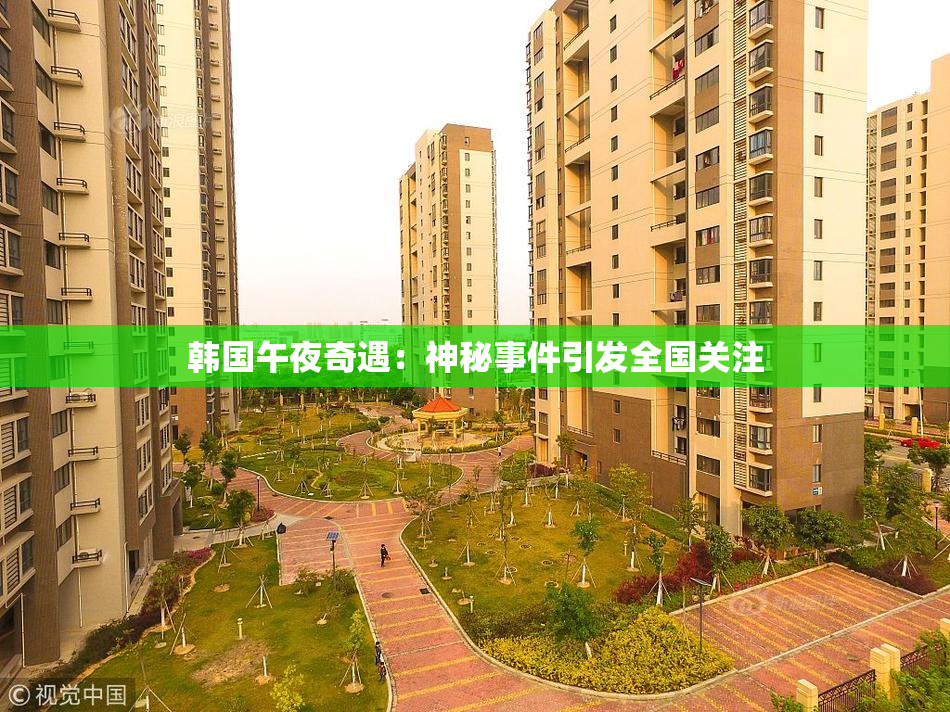 韩国午夜奇遇：神秘事件引发全国关注