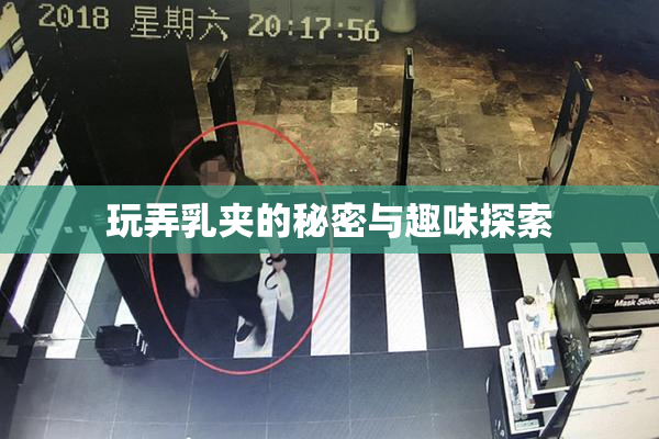 玩弄乳夹的秘密与趣味探索